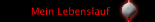 Mein Lebenslauf
